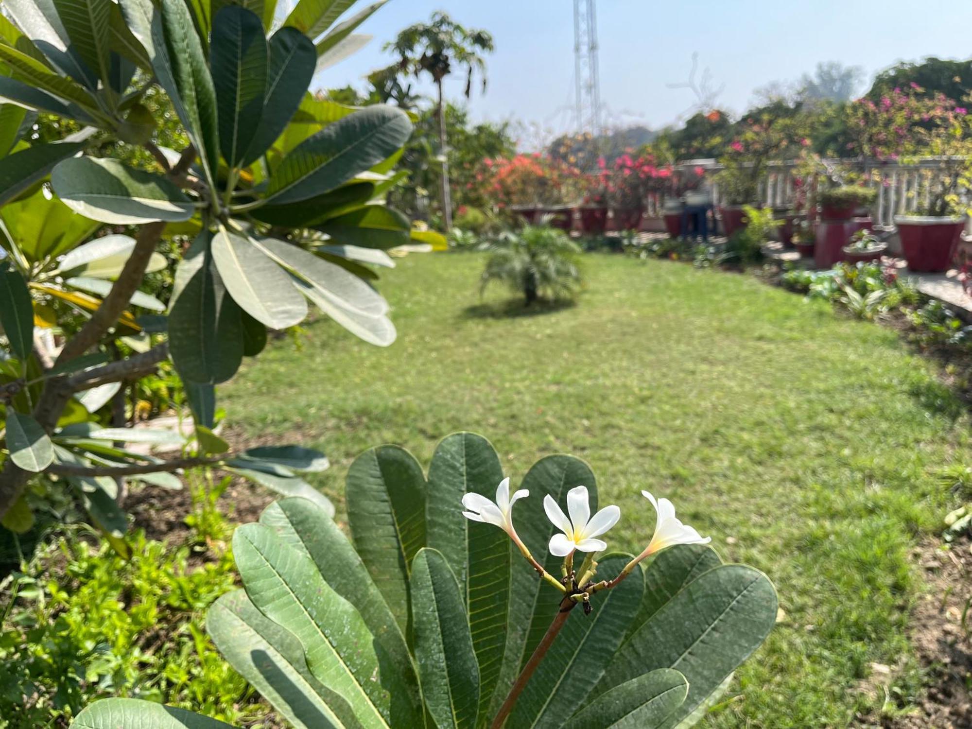 Mulberry Garden Hotel Varanasi Ngoại thất bức ảnh